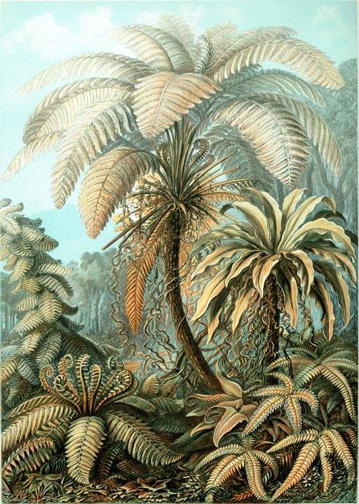 jardin-thérapeutique-autisme-botanique_2.jpg